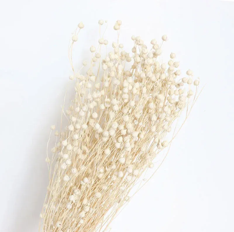 Amora Fax Dried Flower Bunch - White media 4