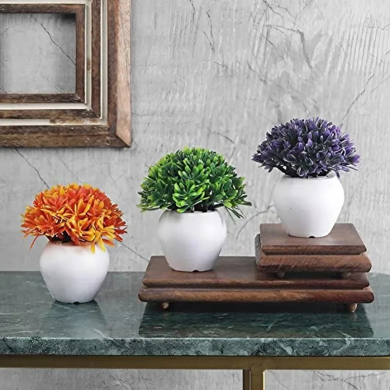 Chlora Faux Plant In Apple Pot (12 cms) - Set Of Three media 1