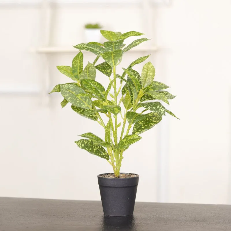 Artificial Croton Leaf Plant With Black Fiber Pot (Yellow) - 1.3 Feet media 5