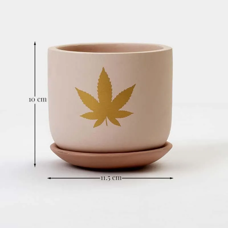 Gold Leaf Planter media 8
