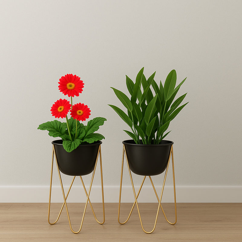 Auraic Planter - Set Of Two media 5