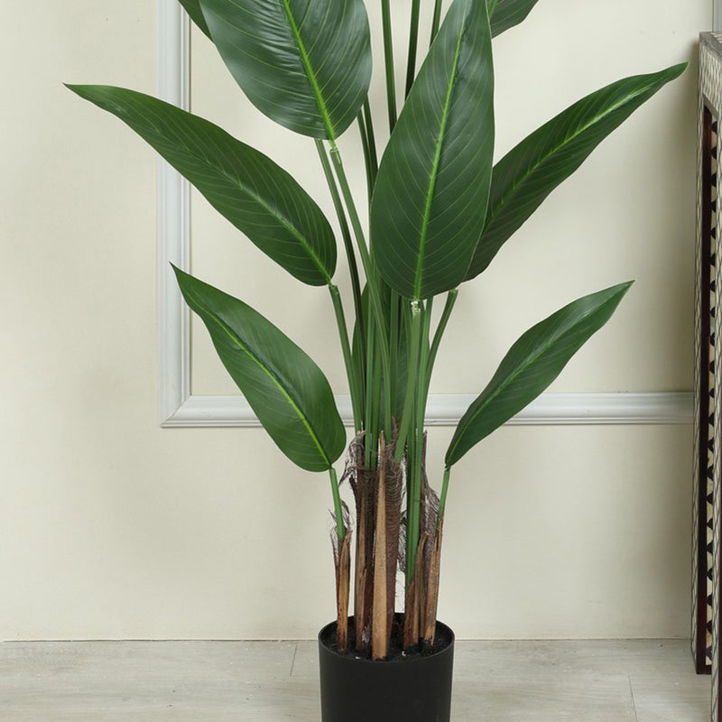 Artificial Strelitzia Plant With Black Fiber Pot - 4.6 Feet media 4