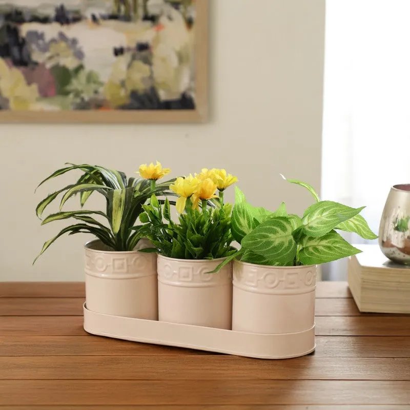 PetalPod Planters with Tray - Ivory media 3