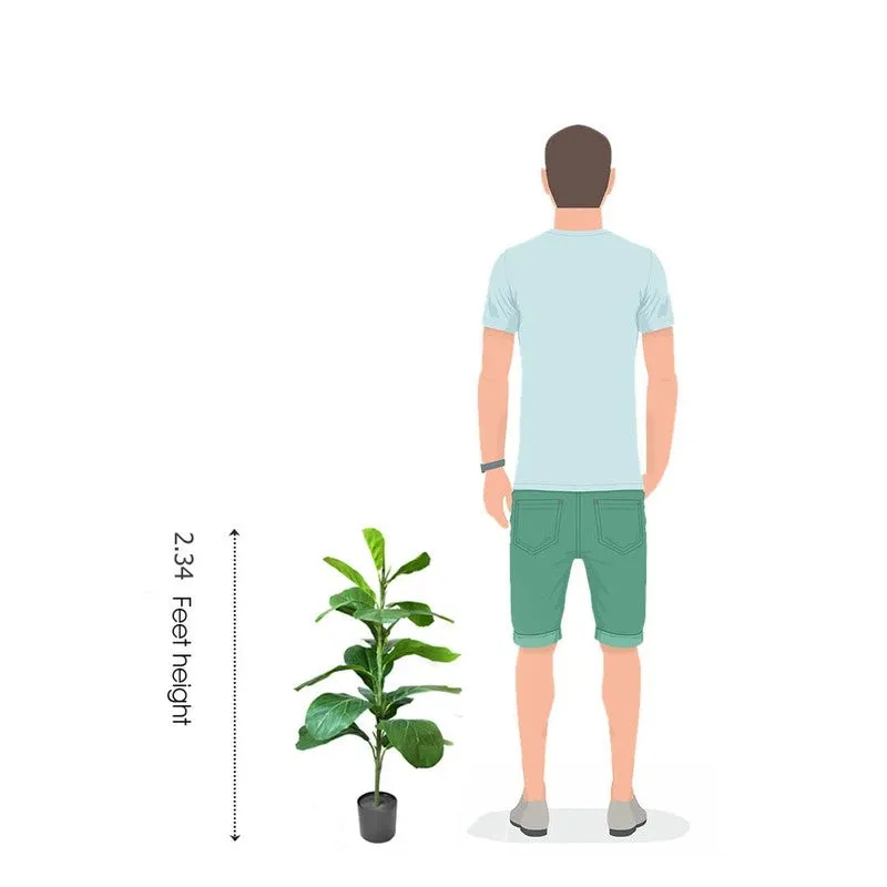 Lushe Artificial Fiddle Fig Plant With Black Plastic Pot - 2.3 Feet media 6