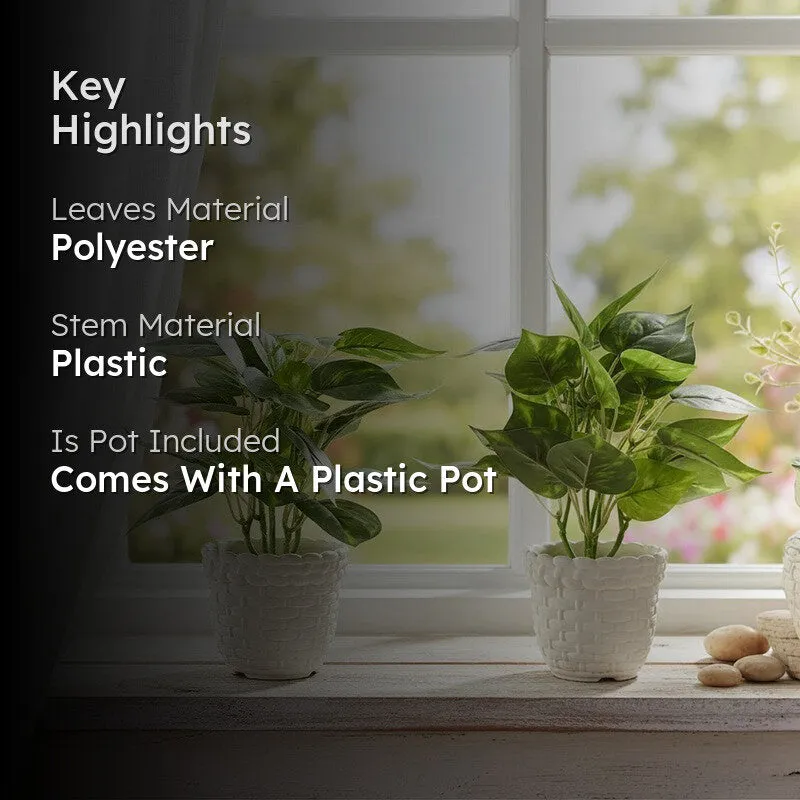 Neonix Syngonium Artificial Plant With Plastic Pot - 0.8 Feet media 2