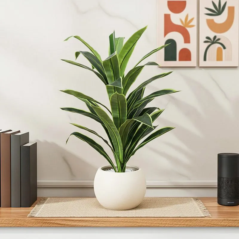 Danae Artificial Dracaena Plant With Black Plastic Pot - 2.8 Feet media 1