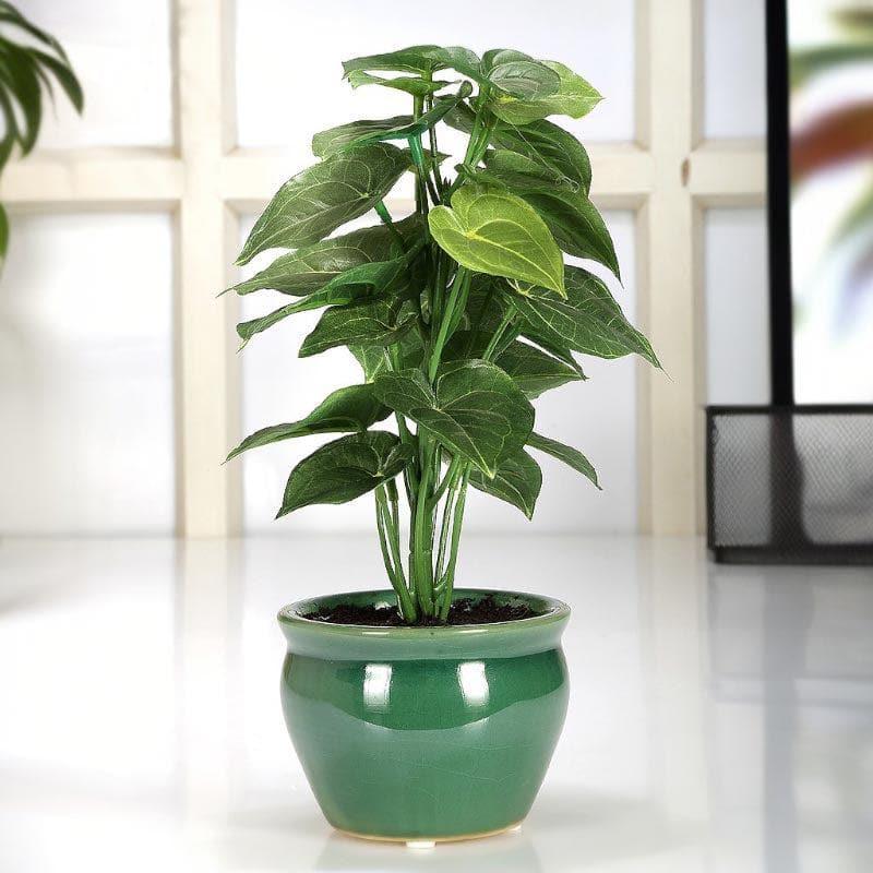 Faux Jatropha Bonsai In Ceramic Pot - 28 cms