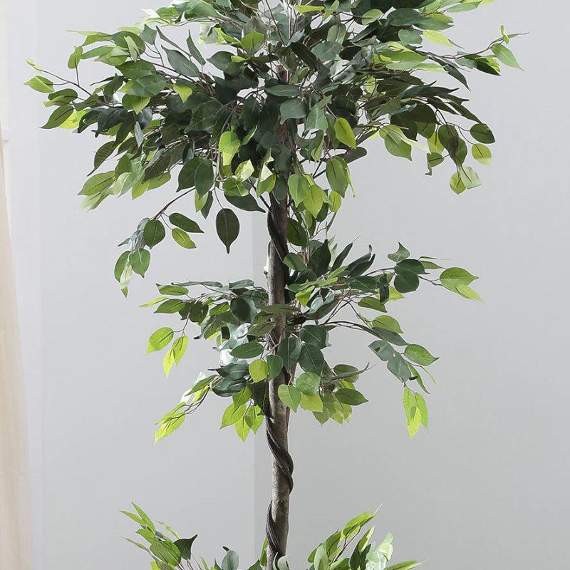 Faux Ficus Tree With Black Plastic Pot - 5.91 ft media 4
