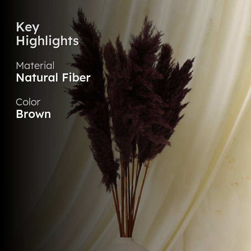 Puffy Pampas Stems (2.62 ft) - Dark Burgundy media 2