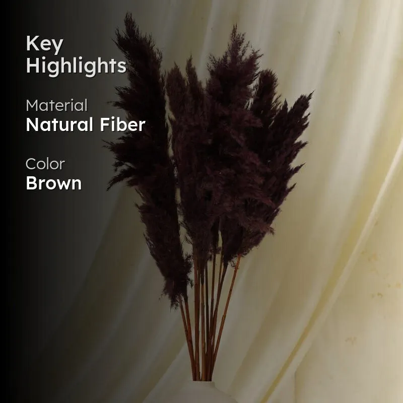 Puffy Pampas Stems (2.62 ft) - Dark Burgundy media 2