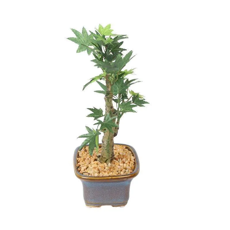 Faux Maple Bonsai In Tub Pot (23 cms) - Green media 3