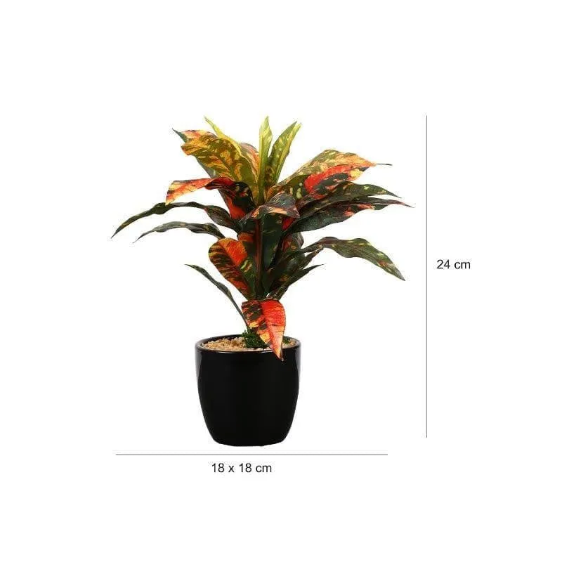 Faux Dracaena Bonsai (24 cms) - Yellow media 4