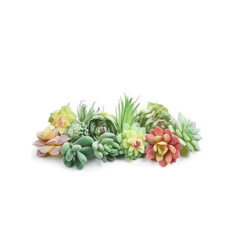 Faux Succulent Artificial Plant - Set Of Twelve media 5