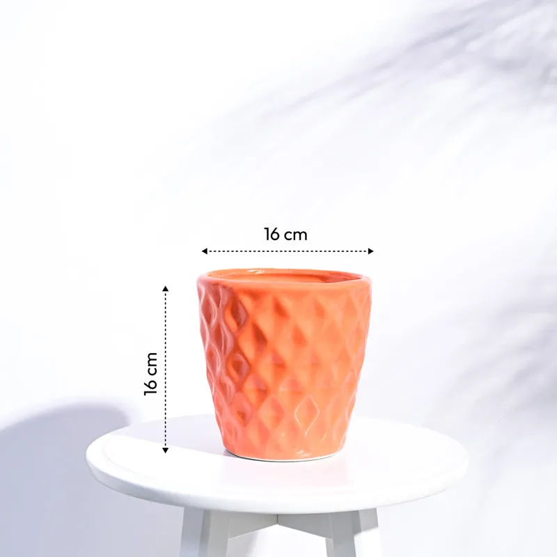 Ugaoo Argyle Orange Ceramic Pot media 6
