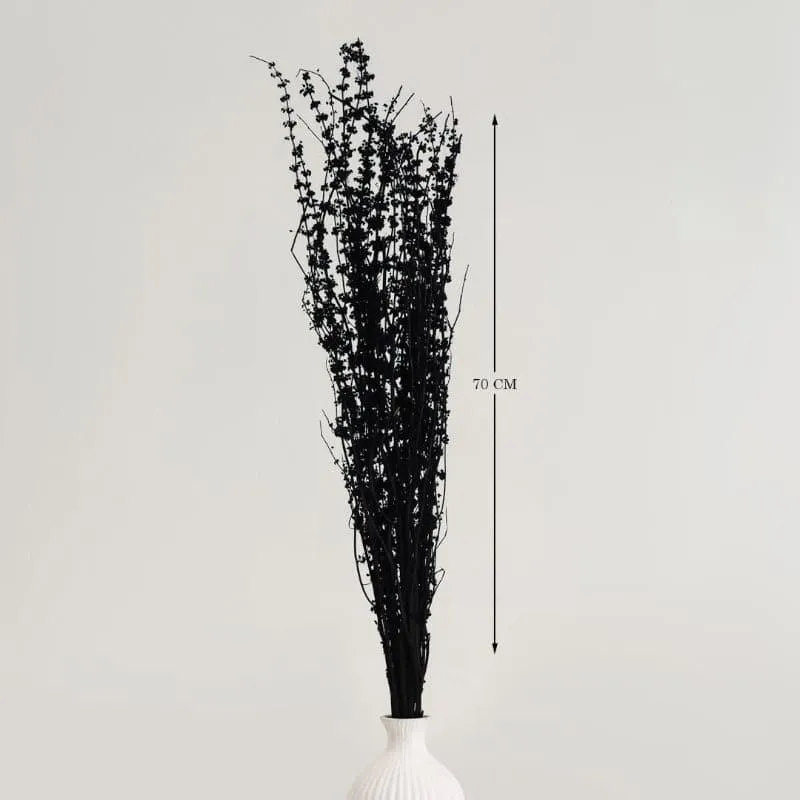 Plato Millet Grass Dried Palm Grass Bunch - Black media 4