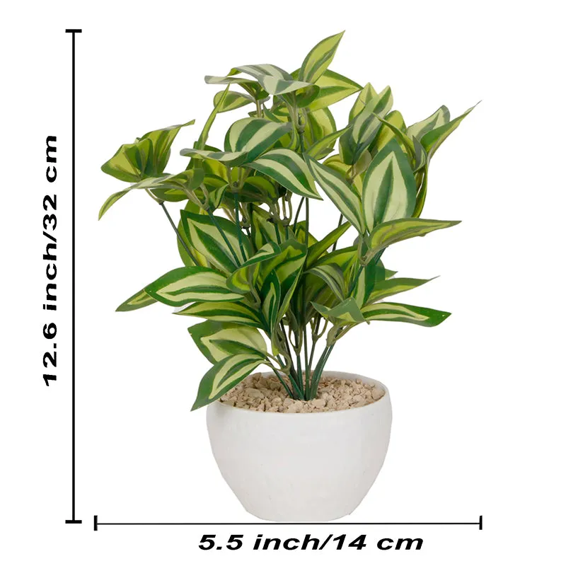 Deanna Artificial Plant With Black Plastic Pot -1 Feet media 5