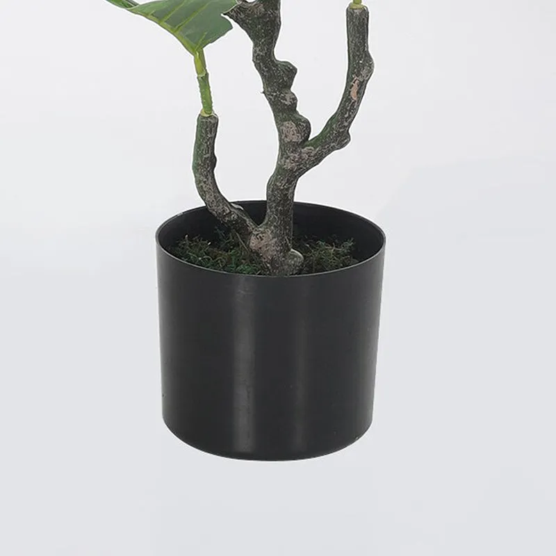 Fica Artificial Fiddle Fig With Black Plastic Pot - 3 Feet media 4