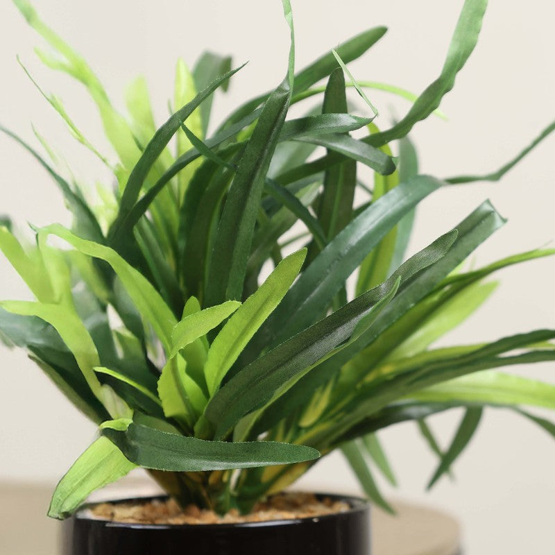 Artificial Green Yucca Bush Bonsai Plant With Ceramic Pot - 0.8 Feet media 4