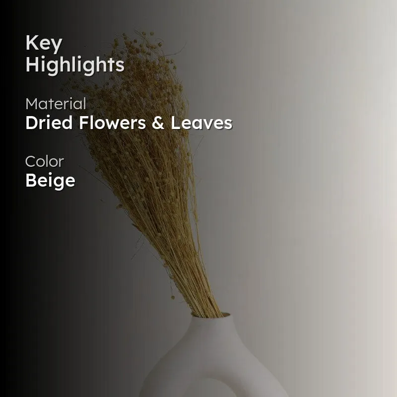 Loopa Millet Grass Dried Lino Bunch - Buff media 2