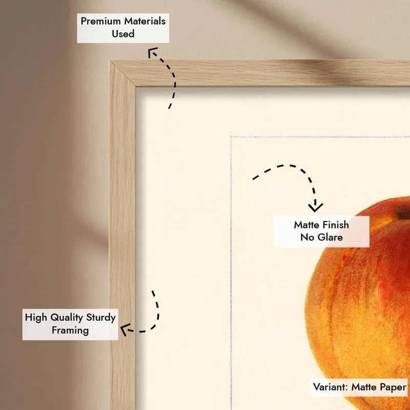 FruitAura Archival Canvas Wall Art - Brown media 8
