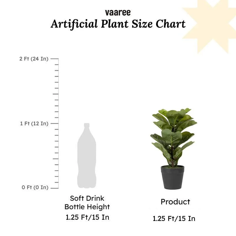 Fidelia Artificial Fiddle Fig Plant - 1 Feet media 10