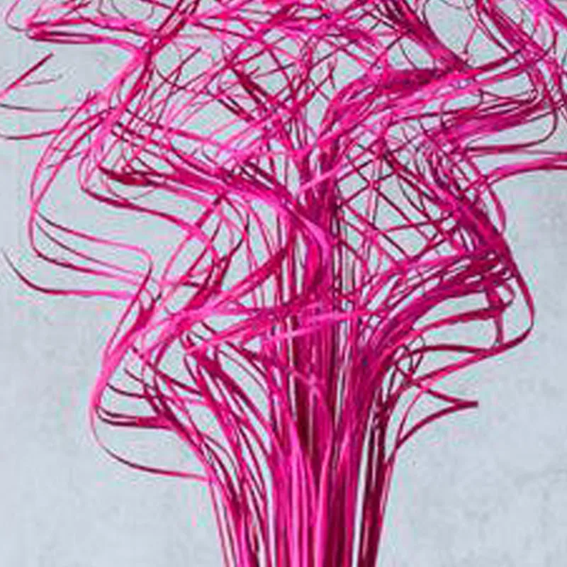 Marisei Curly Stem - Pink media 5