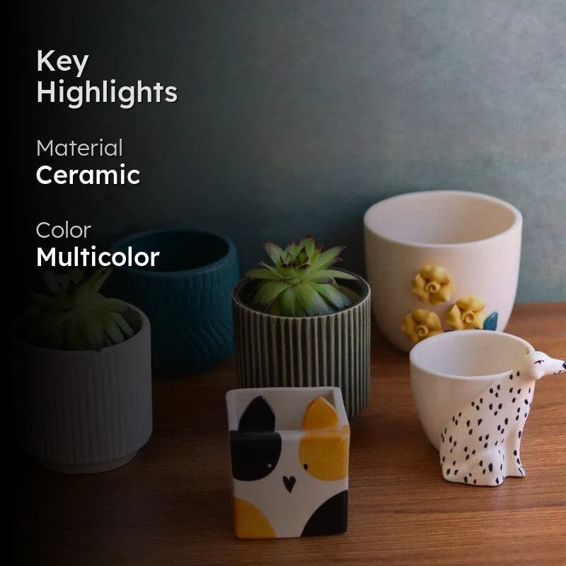 Ravia Aesthetic Planter Combo - Set Of Six media 2