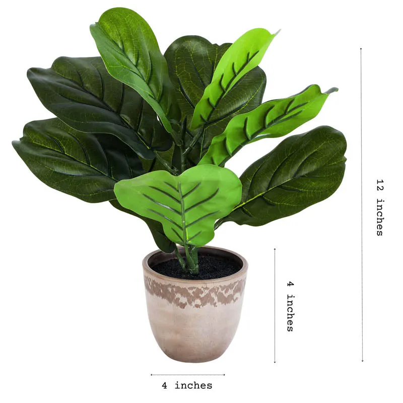 Artificial Fiddle Leaf Fig With Black Plastic Pot (Set Of Two) - 1 Feet media 6