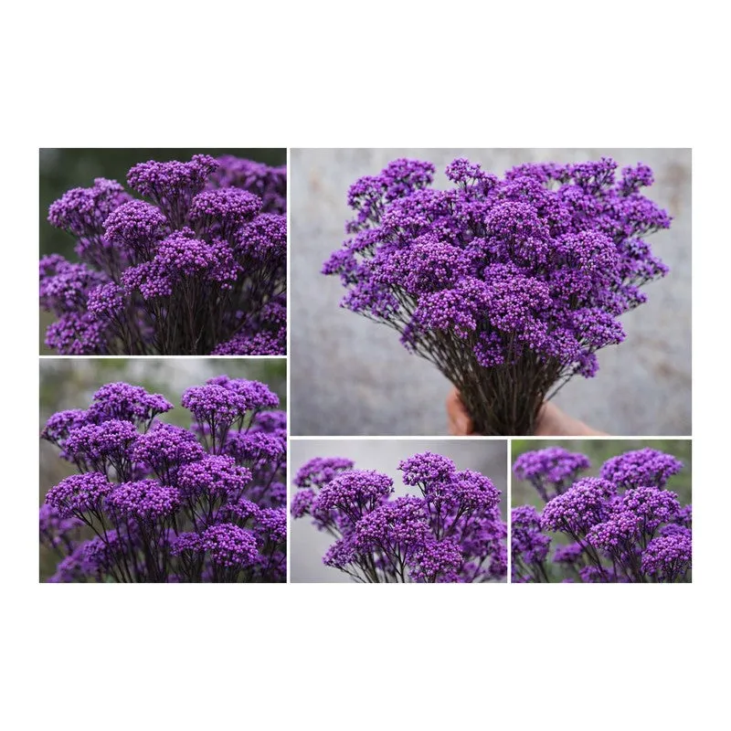 FloraEver Artificial Flower Collection - Purple media 4