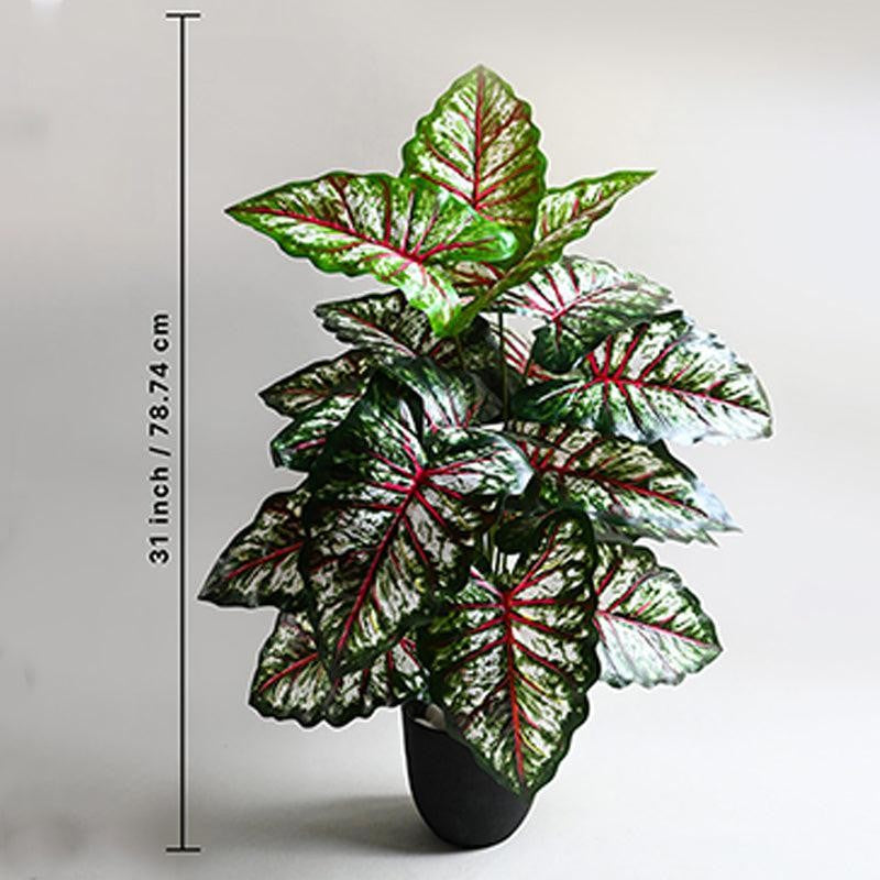 Faux Tropical Caladium Artificial Plant With Black Plastic Pot - 79 cm (2.6 ft) media 5
