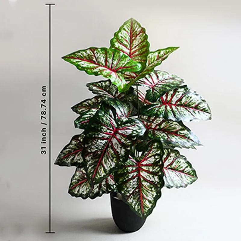 Faux Tropical Caladium Artificial Plant With Black Plastic Pot - 79 cm (2.6 ft) media 5