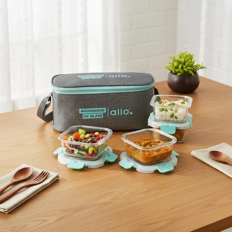 Tifrex Leak Proof Glass Lunch Box (310 mL Each) - Set Of Four media 3