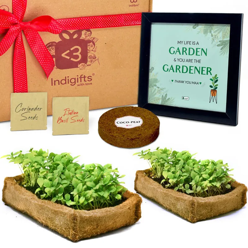 Garden Stater Gift Box media 5