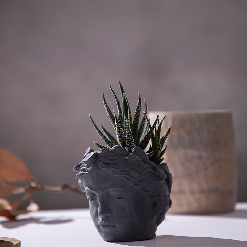 Gracia Princess Planter media 2