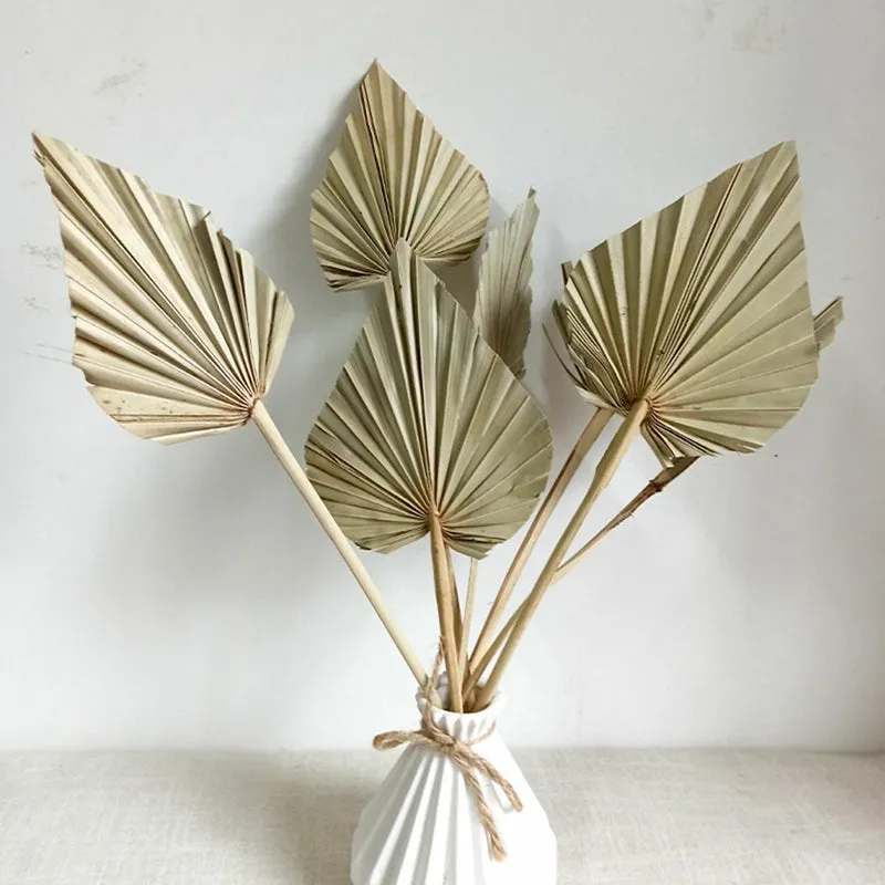 Trovio Naturally Dried Palm Leaf (Beige) - Set Of Five media 3