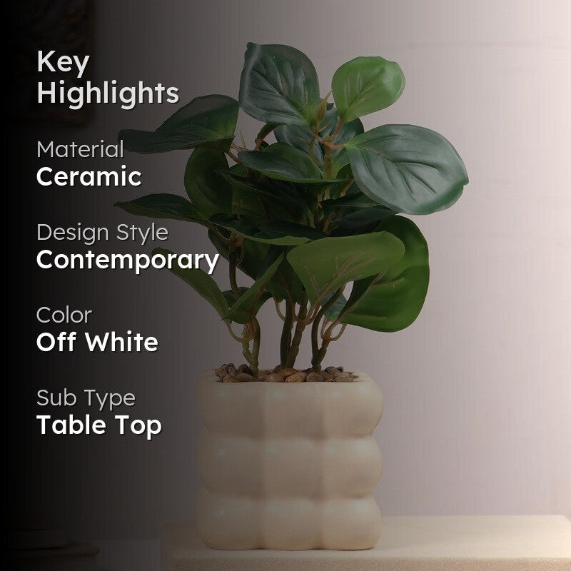 Ivory Bubble Vase with plant media 2