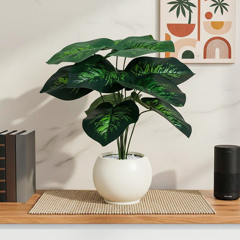 Diora Artificial Green Dieffenbachia With Black Plastic Pot - 1.8 Feet