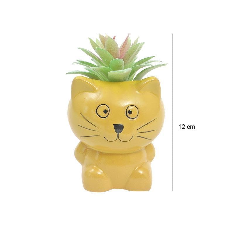 Faux Aeonium In Cat Face Pot - 12 cms media 5