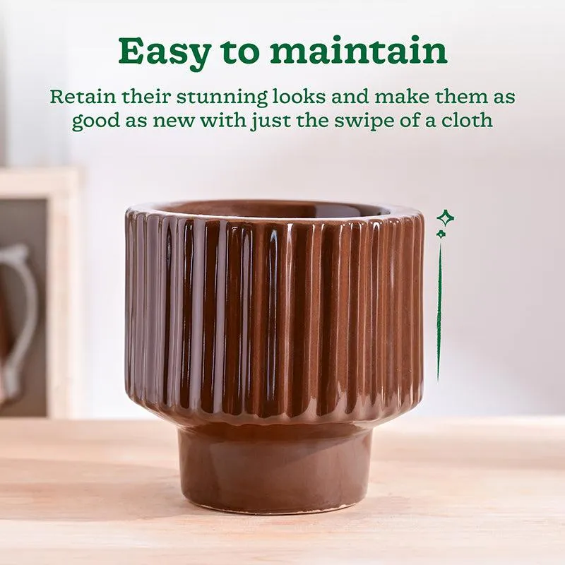 Ugaoo Classic Stria Ceramic Planter - Brown media 4