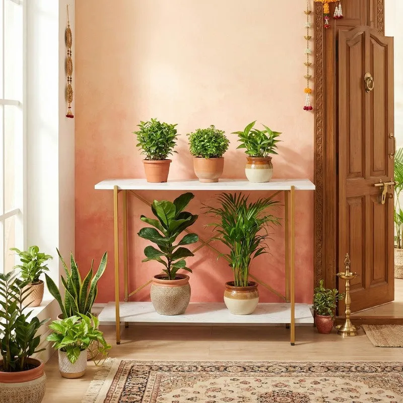 Verdure Metal Planter Stand - White media 5
