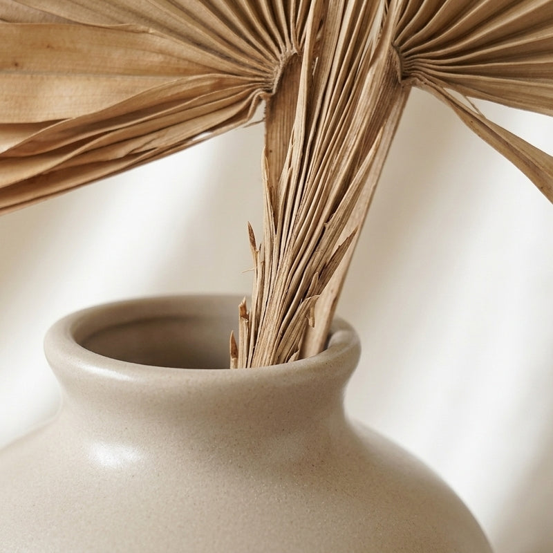 (Brown) Sun Palm Spear (20 cms) - Set Of Five Stems media 3