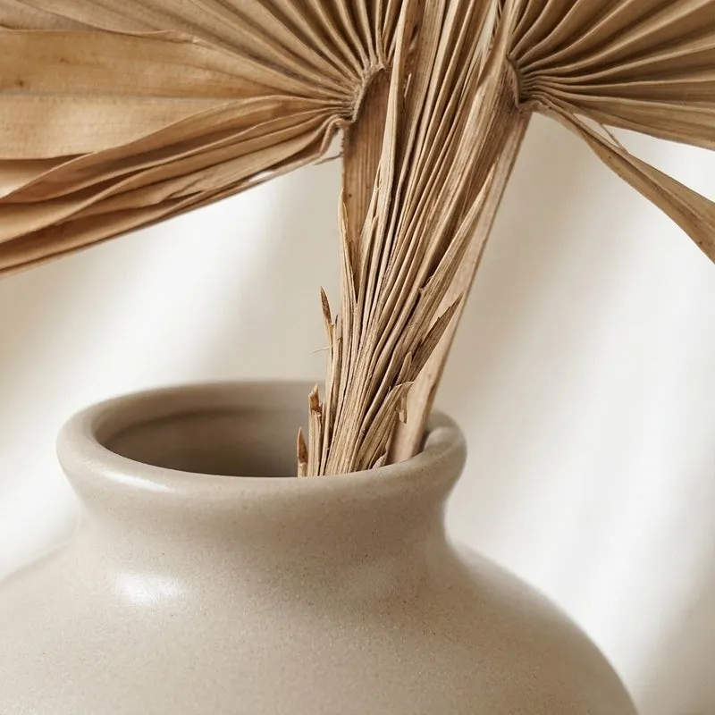 (Brown) Sun Palm Spear (20 cms) - Set Of Five Stems media 3