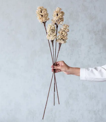 Dried Flowers & Leaves