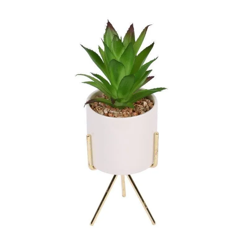 Faux Agave In White Pot With Tripod - 25 cms media 4