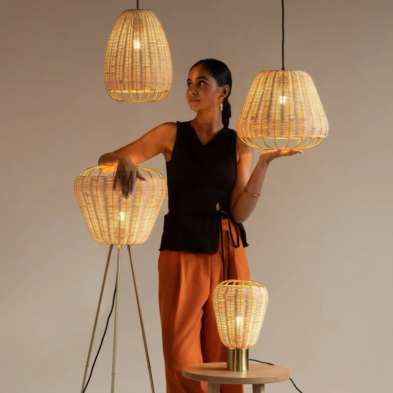 Fig Living Urban Rustica II Ceiling Lamp media 9