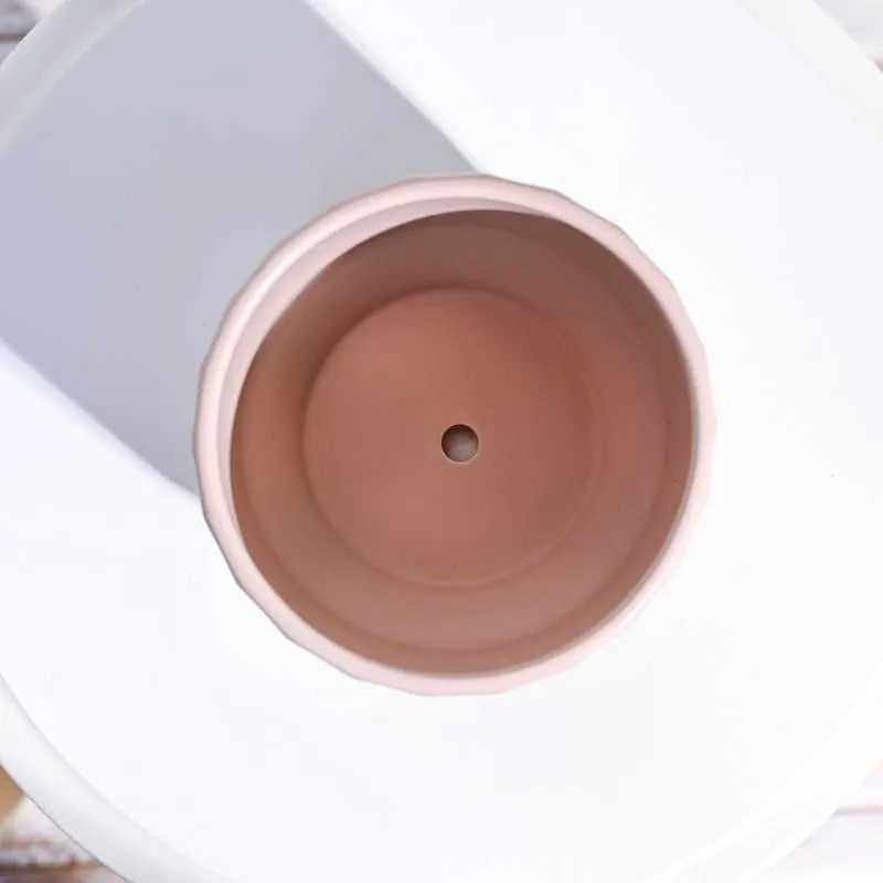 Lexie Ceramic Planter - Pink media 5