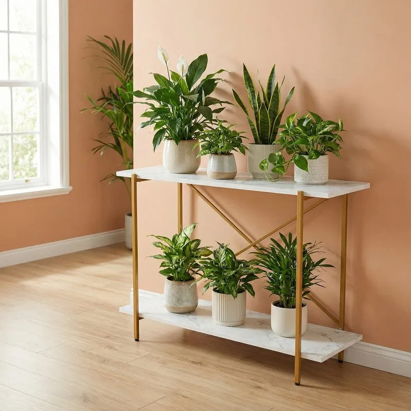 Botanova Metal Planter Stand - White media 3