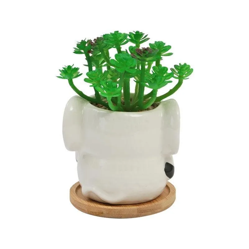Faux Crassula In Elephant Face Pot - 17.5 cms media 5