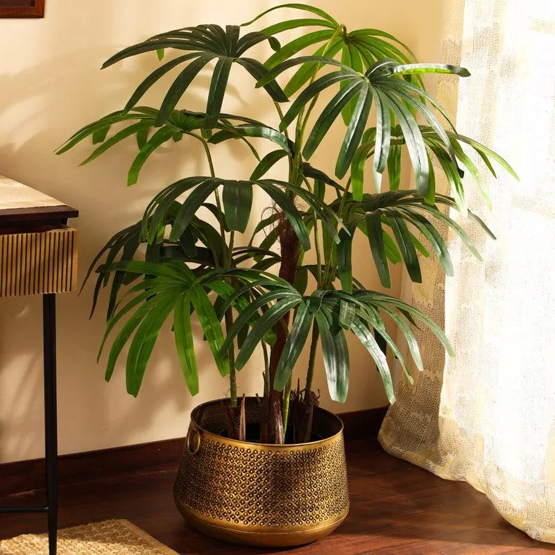 Artificial Realistic Rhapis Palm Tree With Black Plastic Pot - 4.9 Feet media 3