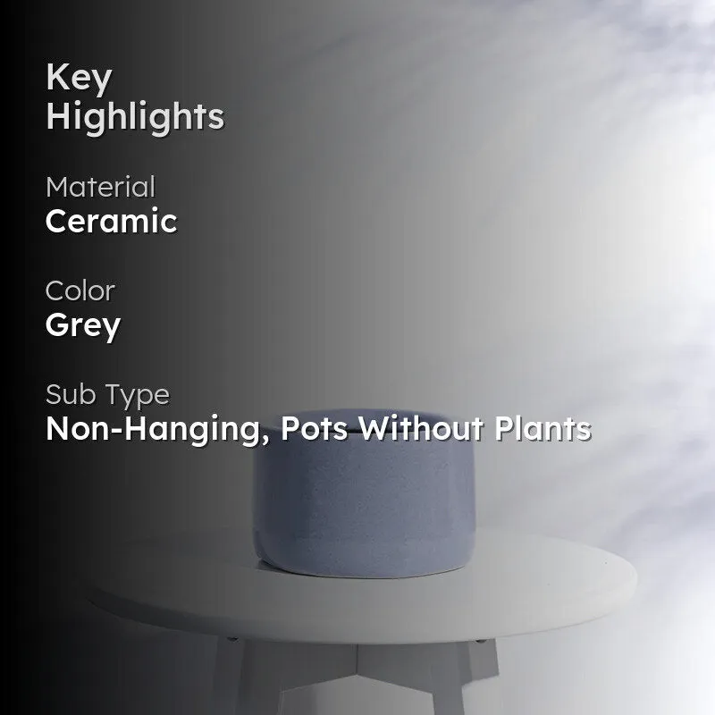 Ugaoo Lilac Stories 6021 Grey Ceramic Pot media 2